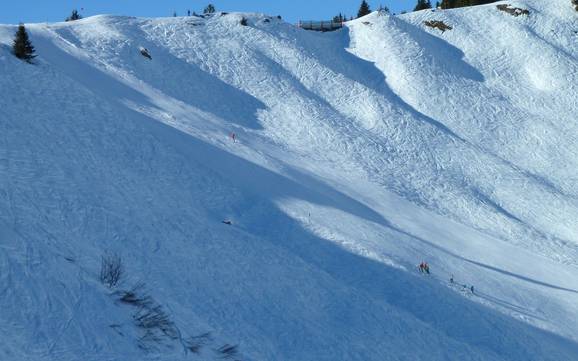 Ski resorts for advanced skiers and freeriding Naturparkregion Reutte – Advanced skiers, freeriders Hahnenkamm – Höfen/Reutte