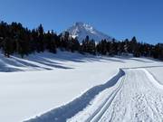 High-altitude trail "La Muntagnarda"