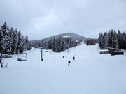 Topping Towers slope