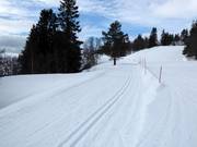 Cross-country trail in Voss Resort