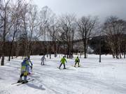 Winter sports enthusiasts in the light forest in Sahoro