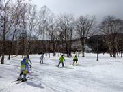Winter sports enthusiasts in sparse woodland in Sahoro