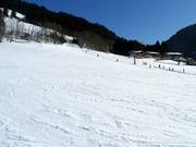 Beginner slope in Aschau