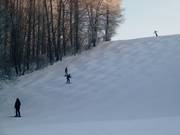 Mogul slope at Remslift