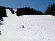 Downhill Slalom Géant