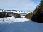 Reutle descent at the drag lift