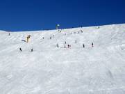 Ski slope Schwarzeck