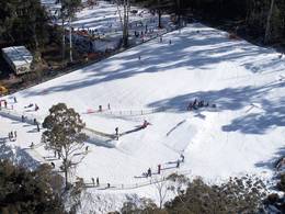 Ski resort Corin Forest
