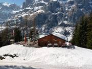 Mountain hut tip Restaurant Weidstübli