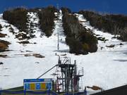 International - J-bar