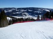 Lower section of the Olympiaabfahrt