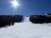 Zirm run and steep slope