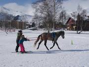 Tip for children  - Skijöring 
