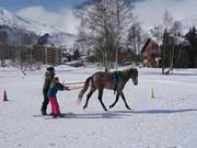 Tip for children  - Skijöring 