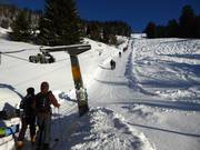 Florihanglift 2 - T-bar