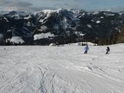 Wide slope at the Fürstwand lift