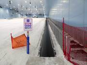 Ski Egypt 3 - People mover/Moving Carpet