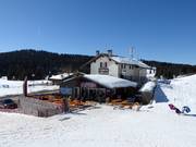 Gastronomy tip Osteria Coe