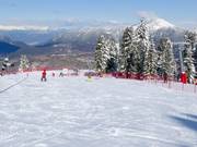 Beginner slope Campo Scuola Cermis