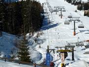 Bärenwiesenlift - T-bar