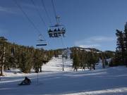 Runs at the Tamarack Express