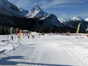 Beginner area on the Ehrwalder Alm