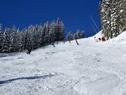 Difficult slope at the Dorfbahn Gerlos