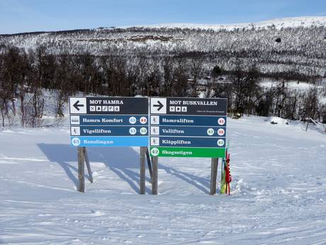 Härjedalen: orientation within ski resorts – Orientation Tänndalen