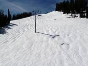 Meadows downhill run