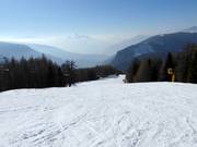 Pragrant slope No. 11