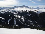 View from Goat's Eye Mountain over the forest runs