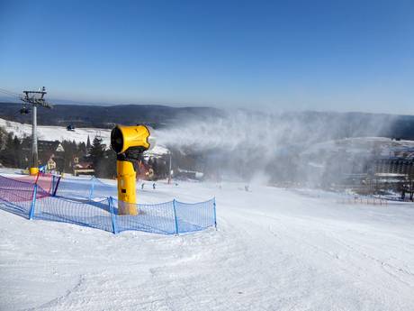 Snow reliability Orlické Mountains (Orlické hory/Góry Orlickie) – Snow reliability Zieleniec