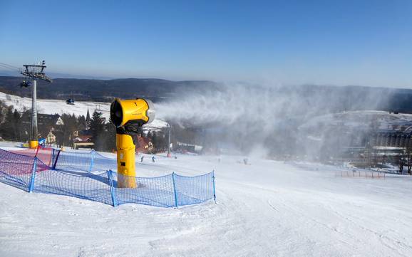 Snow reliability Polish Sudetes – Snow reliability Zieleniec