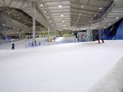 Beginner slope at the valley station