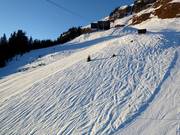 Off-piste powder opportunities in the upper area of the ski resort