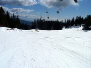 Practice slope at the Lodge Chairlift