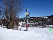 Snow cannon in the Bromont ski area