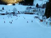 Easy slope at the Mühlhanglift in Zöblen