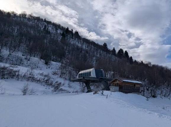 Clochettes - © Michael Medek - Photo: Michael Medek