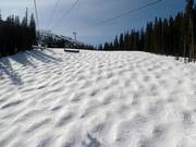 Mogul slope in the Prospect Bowl