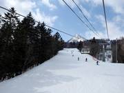 Forest runs dominate in Furano