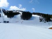 View of the slopes Wishbone and Jersey Cream Road