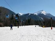 Very easy valley run Ski road №1