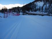 Perfectly groomed cross-country trail