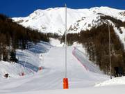 Snow cannon awaits its next use