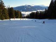 Easy valley run to Mutters