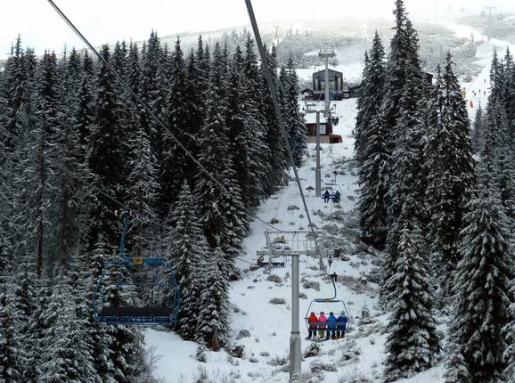 Srdiečko-Kosodrevina