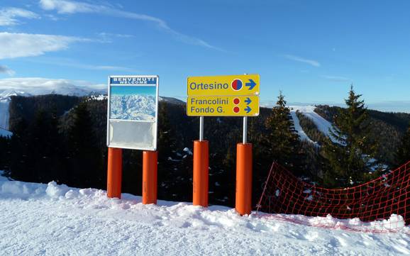 Vicenza: orientation within ski resorts – Orientation Folgaria/Fiorentini