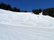 Difficult Weiherkopf FIS Men's Downhill