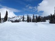 View from the valley over the Grand Targhee ski area